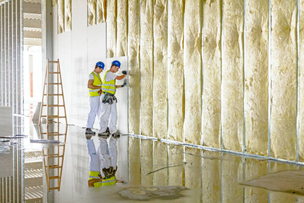 Best Spray Foam Insulation in Gruetli Laager, TN